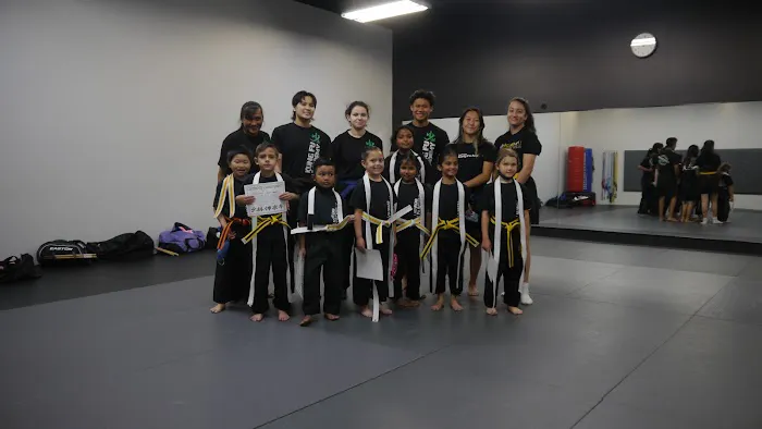 Las Vegas Kung Fu Academy Martial Arts School Picture 2