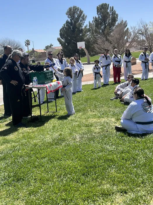 Lone Mountain Taekwondo Picture 5