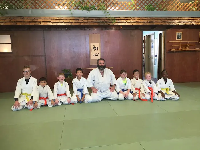 SHOSHINKAN - Las Vegas Martial Arts Picture 5