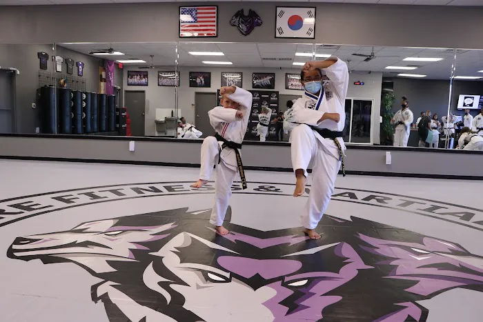 Core Fitness & Martial Arts Picture 3