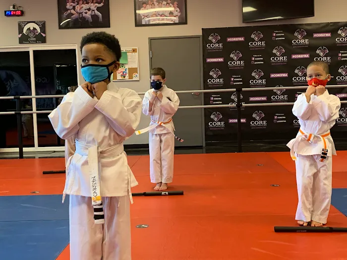 Core Fitness & Martial Arts Picture 10