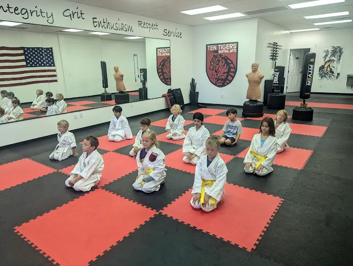 Ten Tigers Martial Arts - Karate - Kung Fu - Jiu Jitsu Picture 5