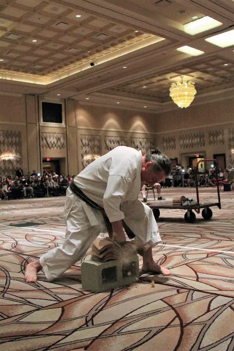 Tiger Thompson Taekwondo/ Kids zone Picture 4