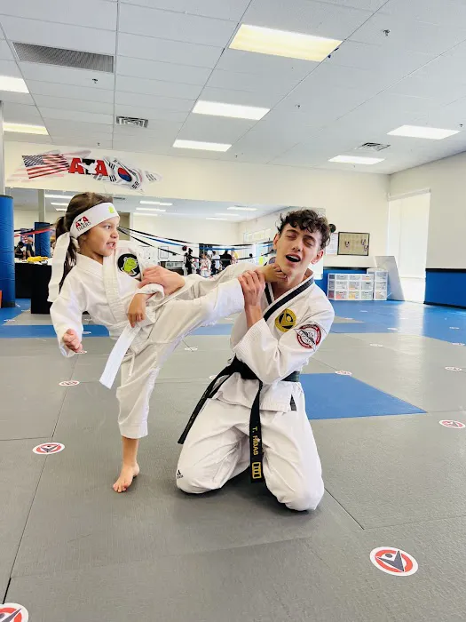 Victory Martial Arts - Sky Pointe Picture 10