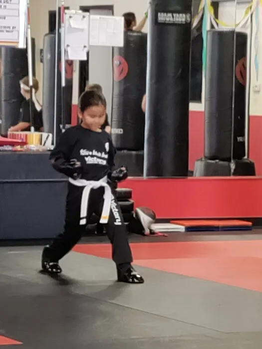 Victory Martial Arts - Deer Springs Picture 2