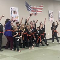 Victory Martial Arts Green Valley ico