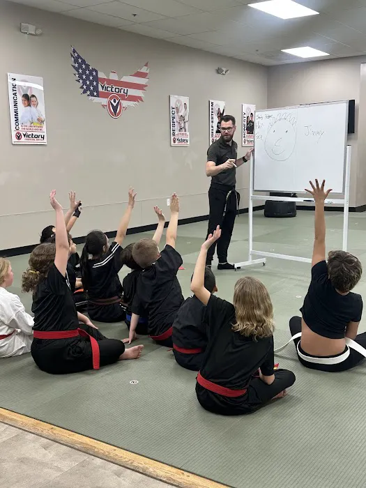 Victory Martial Arts Green Valley Picture 5