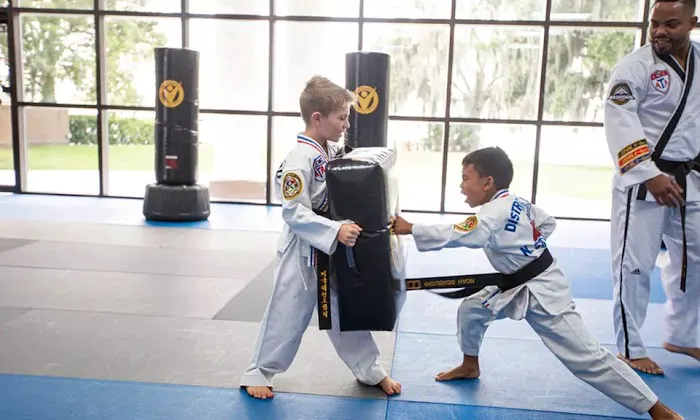 Victory Martial Arts Green Valley Picture 4