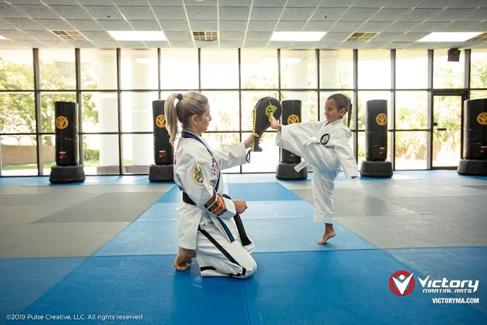 Victory Martial Arts Green Valley Picture 6