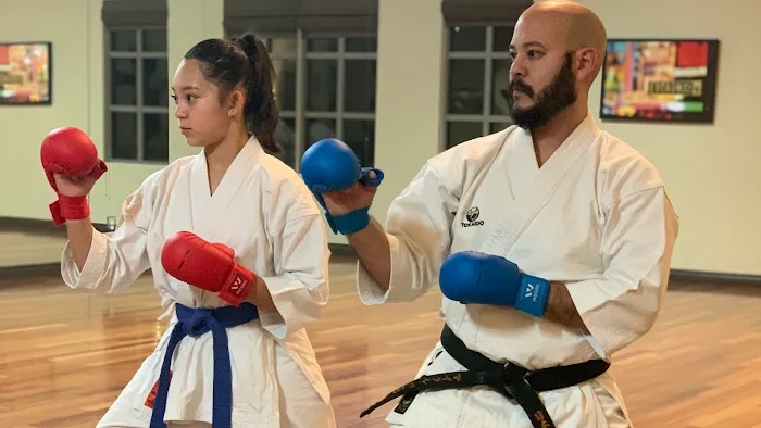 Tanaka's Martial Arts Las Vegas Picture 2