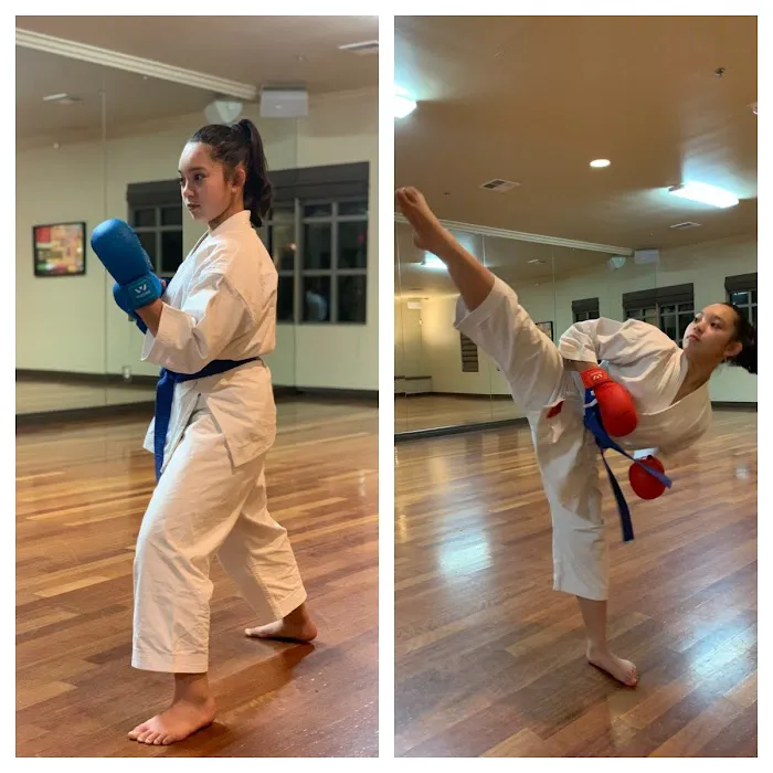 Tanaka's Martial Arts Las Vegas Picture 3