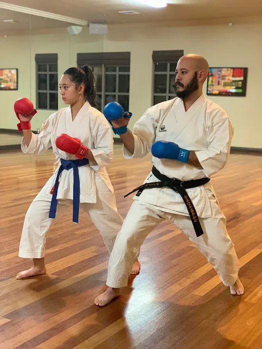 Tanaka's Martial Arts Las Vegas Picture 6