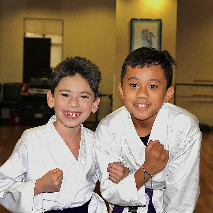 Tanaka's Martial Arts Las Vegas Picture 7