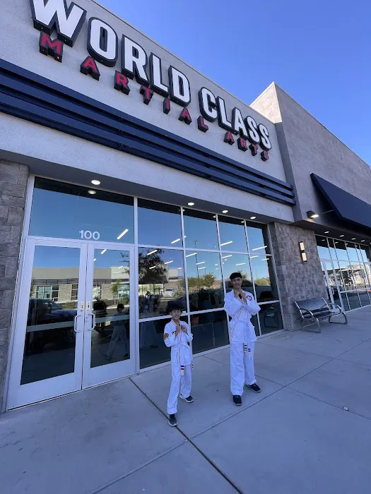 World Class Martial Arts Picture 1