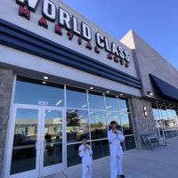 World Class Martial Arts ico