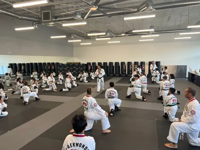 World Class Martial Arts Picture 8