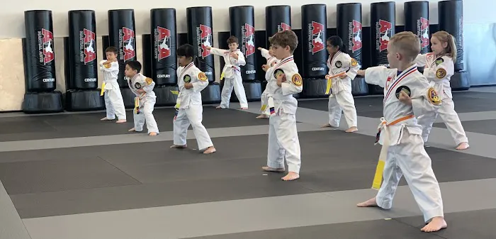 World Class Martial Arts Picture 5