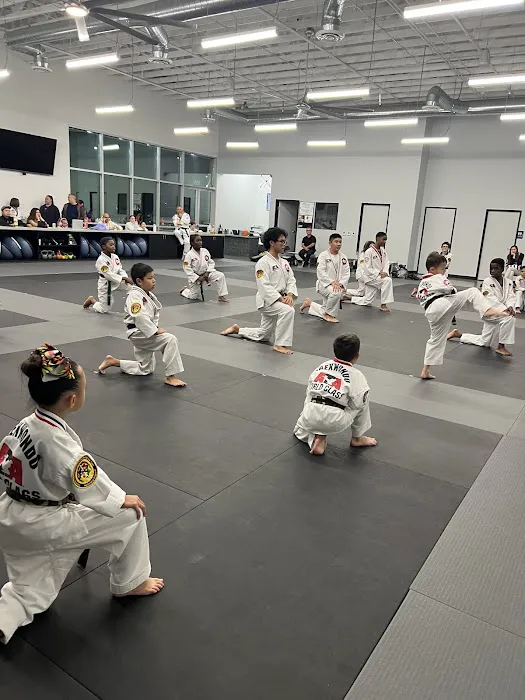 World Class Martial Arts Picture 6