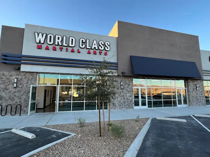 World Class Martial Arts Picture 10