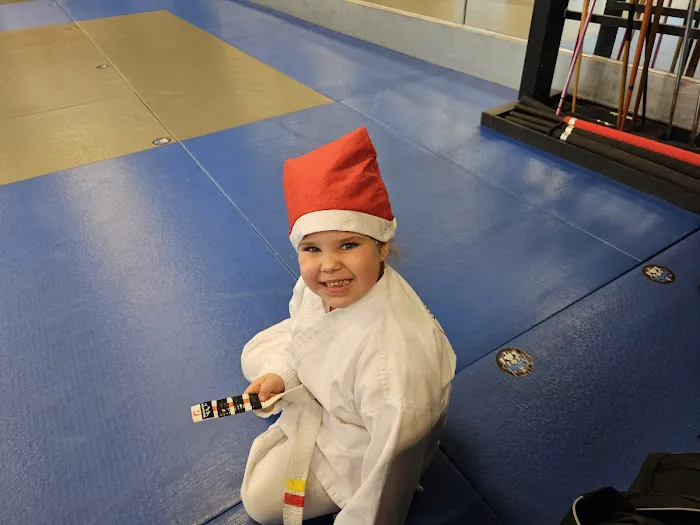 Family Martial Arts Picture 6