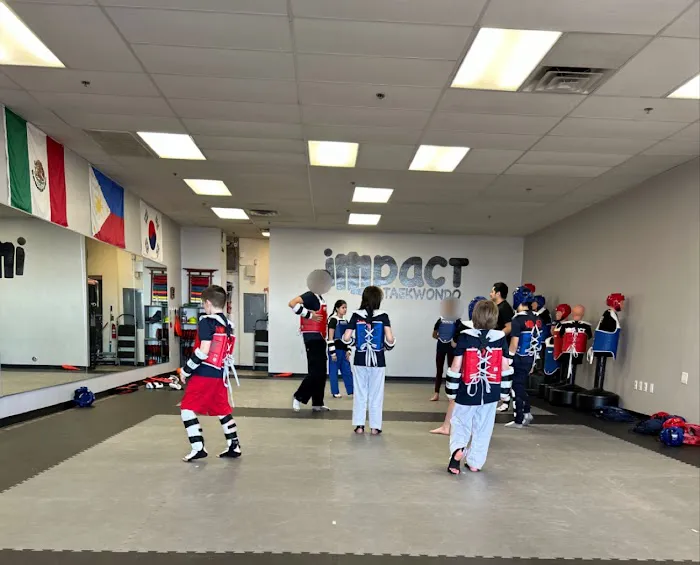Impact Taekwondo Picture 5
