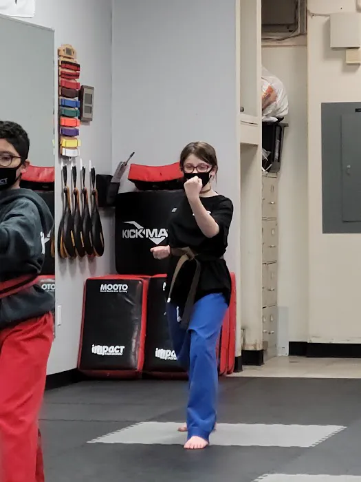 Impact Taekwondo Picture 4