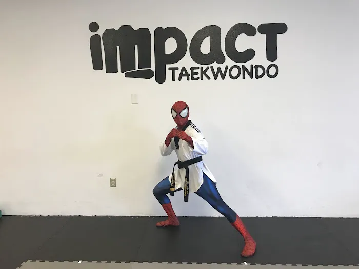 Impact Taekwondo Picture 10