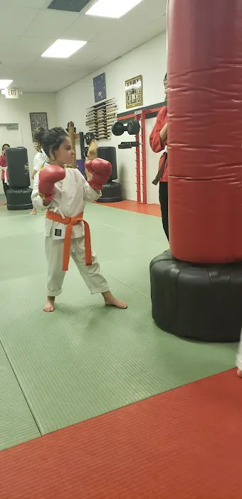 Dan Hurds Academy of Martial Arts Picture 1