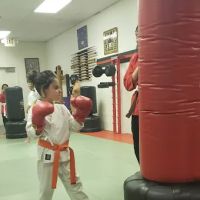 Dan Hurds Academy of Martial Arts ico