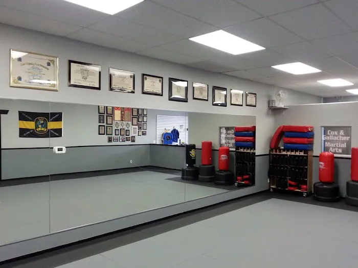 Legacy Martial Arts Henderson Picture 6