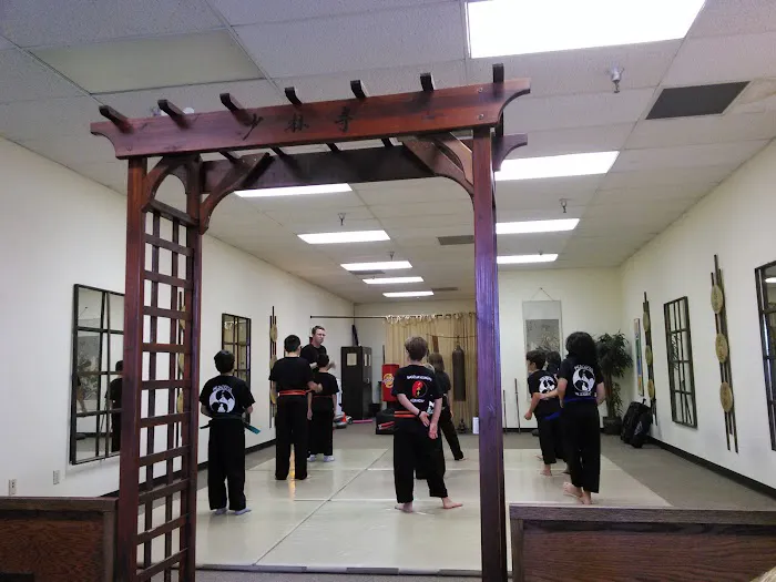 Shaolin Kung Fu Academy & Girl Power Picture 1