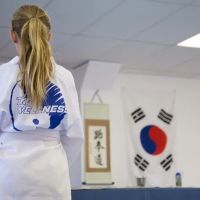 Taekwondo Wellness: Martial Arts & Fitness Classes For Kids, Teens & Adults ico