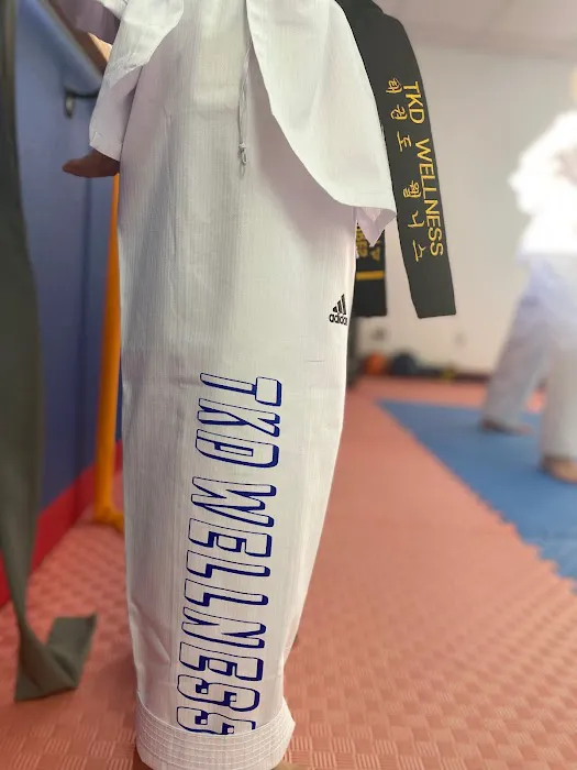 Taekwondo Wellness: Martial Arts & Fitness Classes For Kids, Teens & Adults Picture 8