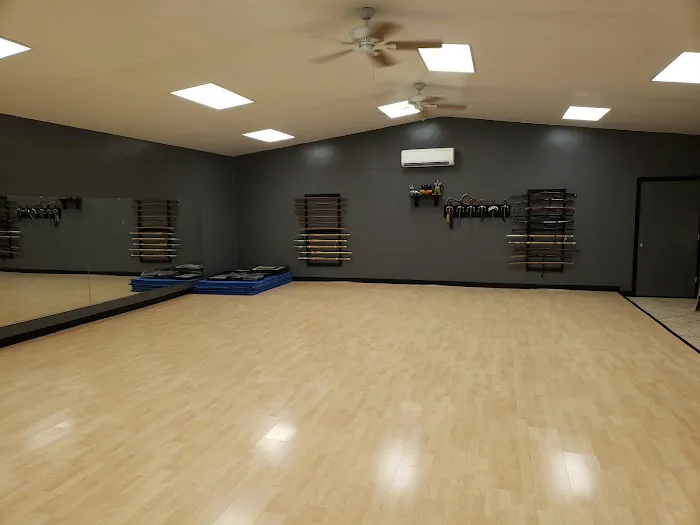 Sei Shin Kan Martial Arts DoJo Picture 1