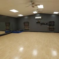 Sei Shin Kan Martial Arts DoJo ico