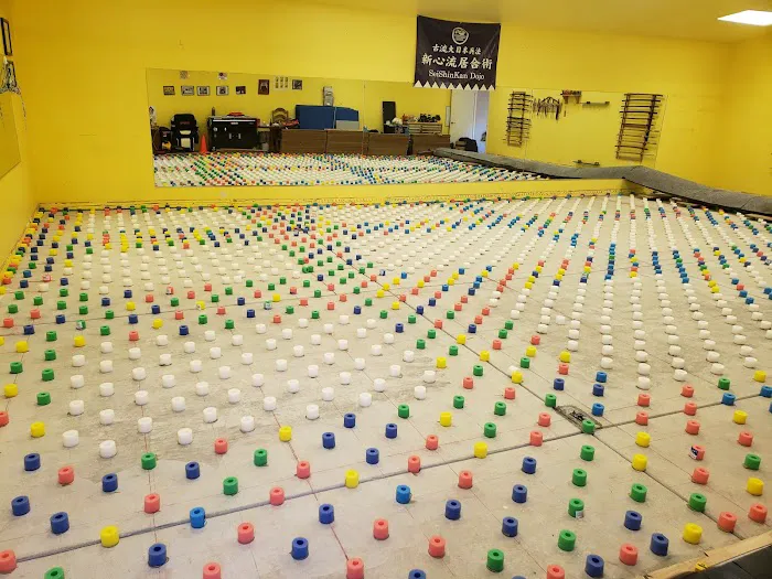 Sei Shin Kan Martial Arts DoJo Picture 3