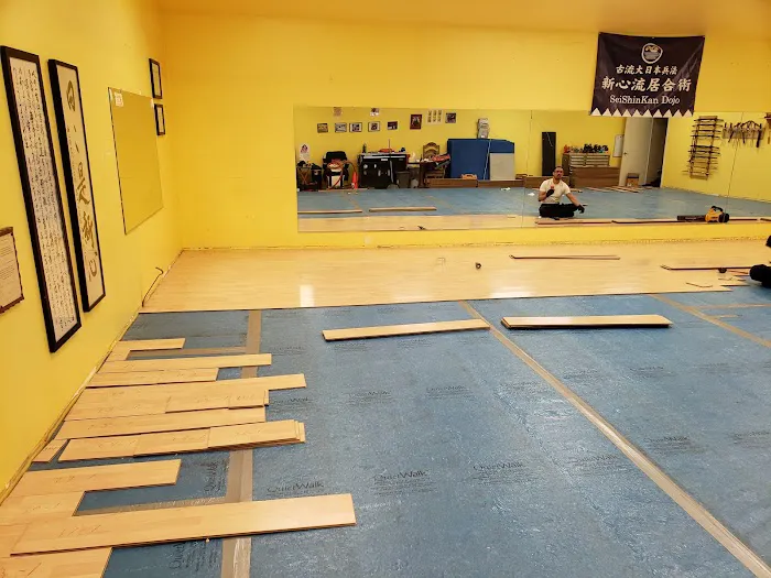 Sei Shin Kan Martial Arts DoJo Picture 4