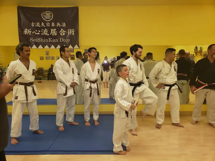 Sei Shin Kan Martial Arts DoJo Picture 10