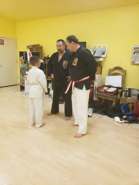 Sei Shin Kan Martial Arts DoJo Picture 8