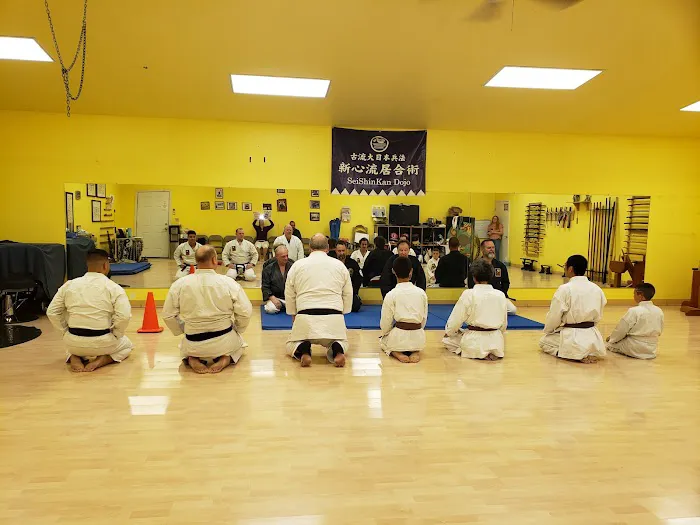 Sei Shin Kan Martial Arts DoJo Picture 7
