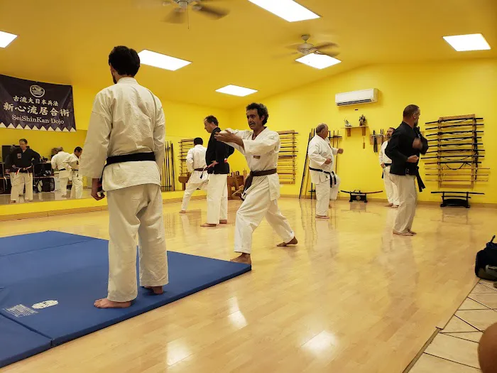 Sei Shin Kan Martial Arts DoJo Picture 6