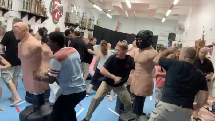 KoSho Martial Training Institute Picture 5