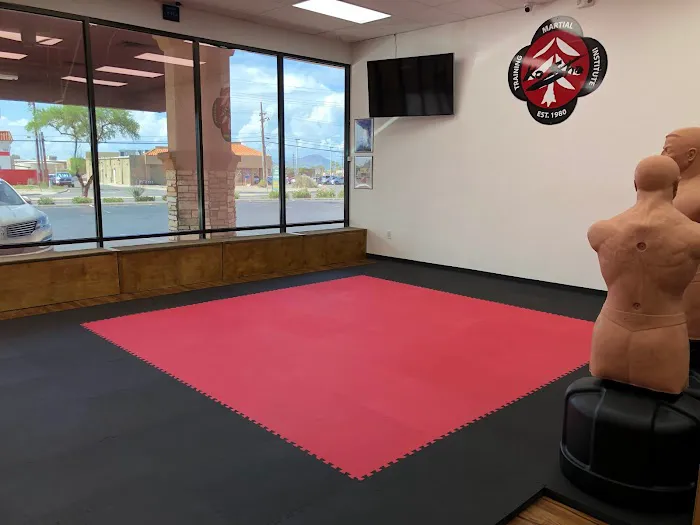 KoSho Martial Training Institute Picture 4