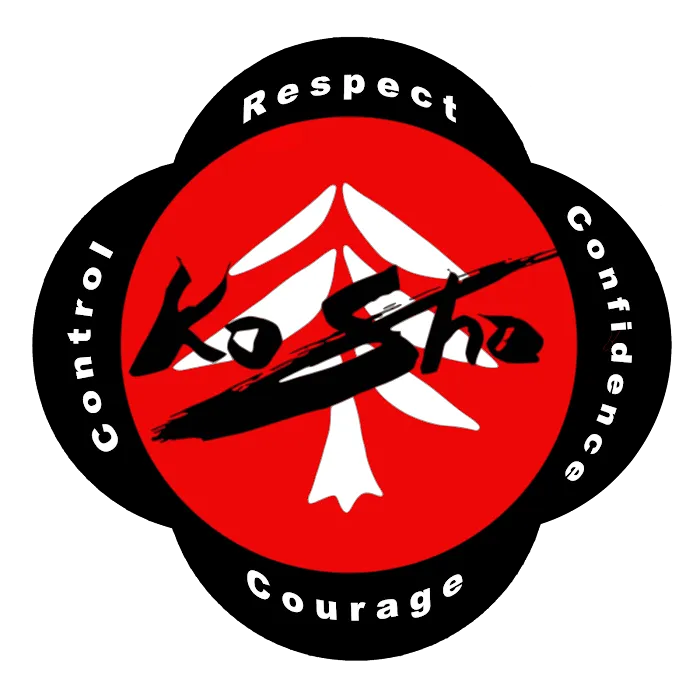 KoSho Martial Training Institute Picture 9