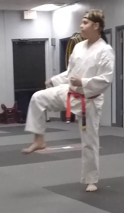 Sunrise Taekwondo USA Picture 3