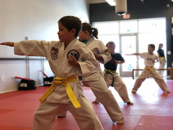 Hone Martial Arts Picture 2