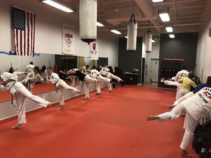 Hone Martial Arts Picture 5