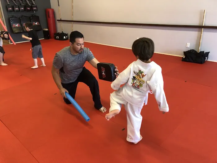 Hone Martial Arts Picture 4