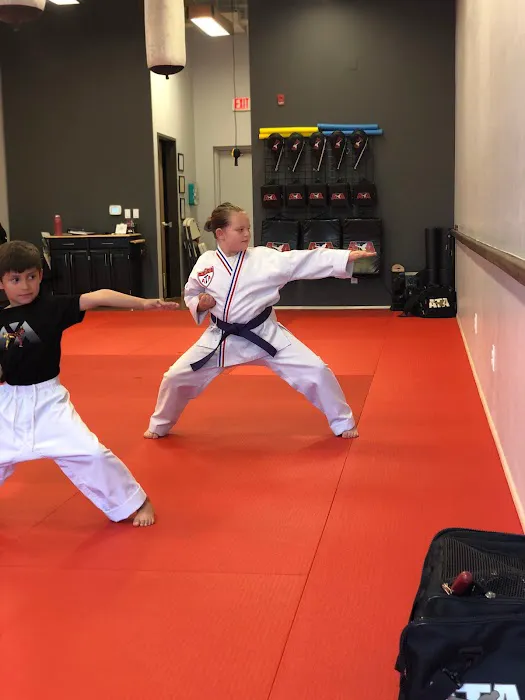 Hone Martial Arts Picture 8