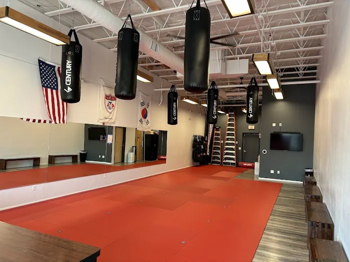 Hone Martial Arts Picture 10